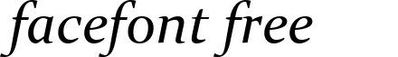 Constantia-Italic