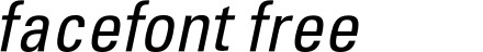 PartnerCondensed-Italic