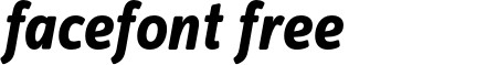 InfoTextBold-Italic